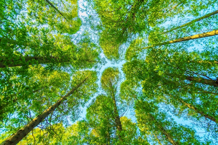 Green technology and sustainability image